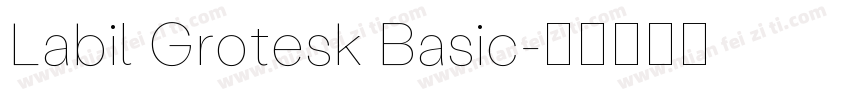 Labil Grotesk Basic字体转换